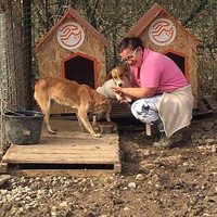 photo de livraison pour Refuge pour chiens de Baia Mare