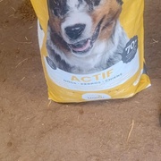 photo de livraison pour Comme Chiens et Chats Maroc