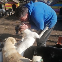 photo de livraison pour Europe4strays
