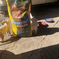 photo de livraison pour Hajar Aourz