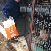 photo de livraison pour Happy Tails Animal Rescue