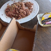 photo de livraison pour Les Pattounes de l'Espoir