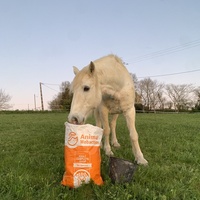 photo de livraison pour Les Crinières de Salherm