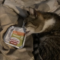 photo de livraison pour Cosette