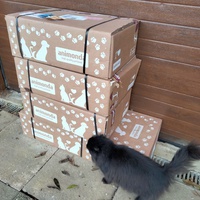photo de livraison pour Chats errants du val du crenu