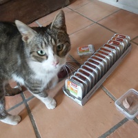 photo de livraison pour Felis Canis Association