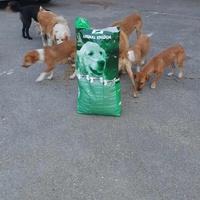 photo de livraison pour Beta Zajecar