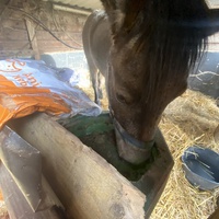 photo de livraison pour Espoir au Galop
