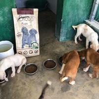 photo de livraison pour Huellas del Valle con Esperanza