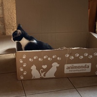 photo de livraison pour CATS
