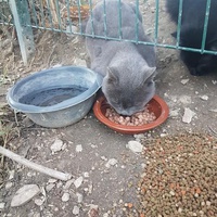 photo de livraison pour Eden Cat