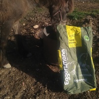 photo de livraison pour Equi-Libre : Droit à la Retraite Equine