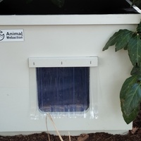 photo de livraison pour Cat Miaou