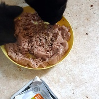 photo de livraison pour Chat Suffit a.sb.l.
