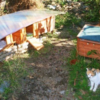photo de livraison pour Amis des Chats de Port-Vendre