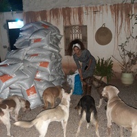 photo de livraison pour Help Adopt Moroccan Animals