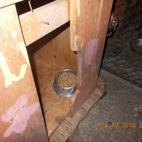 photo de livraison pour Pro Animals Finland ry