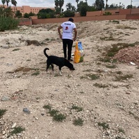 photo de livraison pour L'Arche de Noé