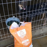 photo de livraison pour Sammelstelle für Tiere in Not e.V.