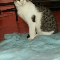 photo de livraison pour La Tribu de LOLA