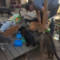 photo de livraison pour Chats Libres de Béziers