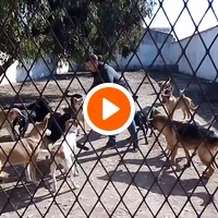 photo de livraison pour Association Mira Protection des Animaux et de l'Environnement