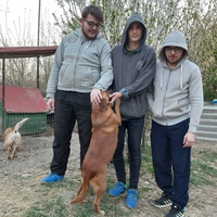 photo de livraison pour Antonia Save Animals