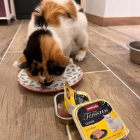 photo de livraison pour Felis Canis Association