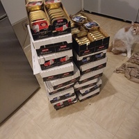 photo de livraison pour Protect Cat