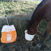 photo de livraison pour Les Crinières de Salherm
