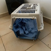 photo de livraison pour Les Chats Libres Condom 32