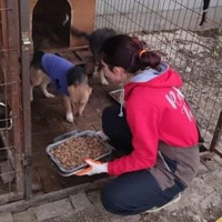 photo de livraison pour Civic Initiative Kane Korzo Skopje