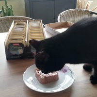 photo de livraison pour Les Chatoyants