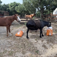 photo de livraison pour Association Faune Rescue