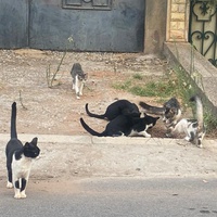 photo de livraison pour Kawthar Maree