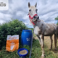 photo de livraison pour La Retraite des Chevaux des Causses