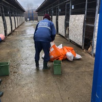 photo de livraison pour Nicoleta Stefanescu