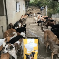 photo de livraison pour Sanctuaire de la Faune de Tanger (SFT)