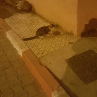 photo de livraison pour Ghita Muller El Jirari