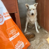 photo de livraison pour Speranta Pentru Animale
