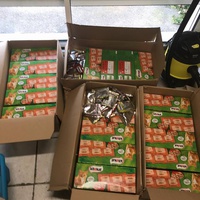 photo de livraison pour Les Pattounes de l'Espoir