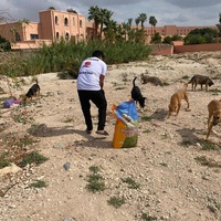 photo de livraison pour L'Arche de Noé