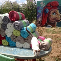 photo de livraison pour SOS Animal Tendresse