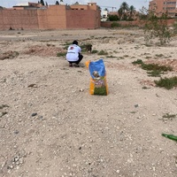 photo de livraison pour L'Arche de Noé