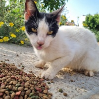 photo de livraison pour Kawthar Maree