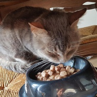 photo de livraison pour Arche de Véra