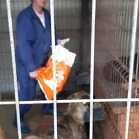 photo de livraison pour RespekTIERE Leben e.V.