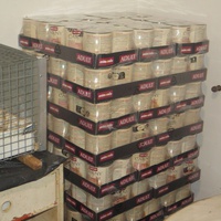photo de livraison pour Chat Libre de l'Ile du Ramier