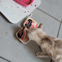 photo de livraison pour Les Chats libres de Fleurance