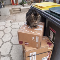 photo de livraison pour Association Animaux Errants Economie